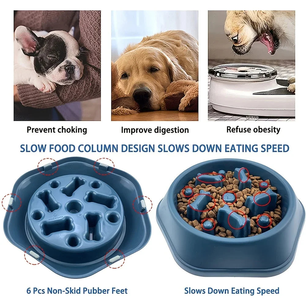 Slow Feeder Bowl for Dogs &amp; Cats
