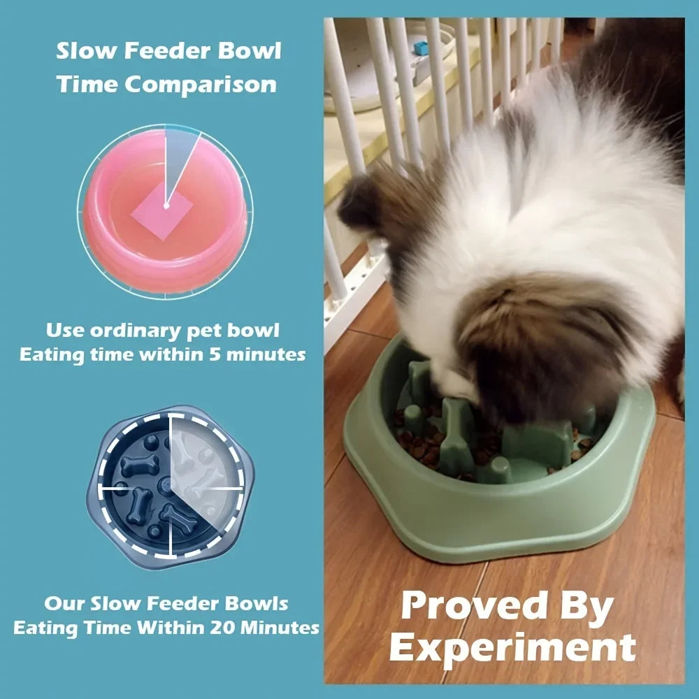 Slow Feeder Bowl for Dogs &amp; Cats