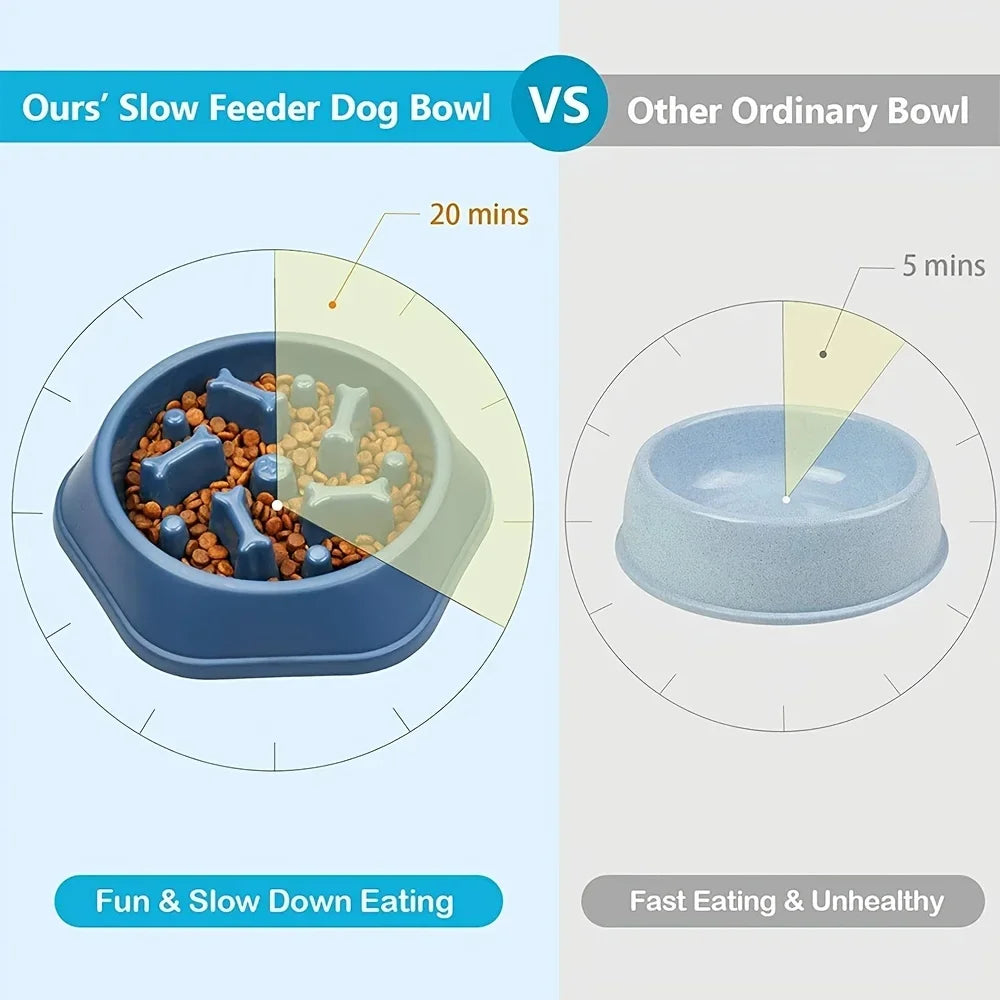 Slow Feeder Bowl for Dogs &amp; Cats