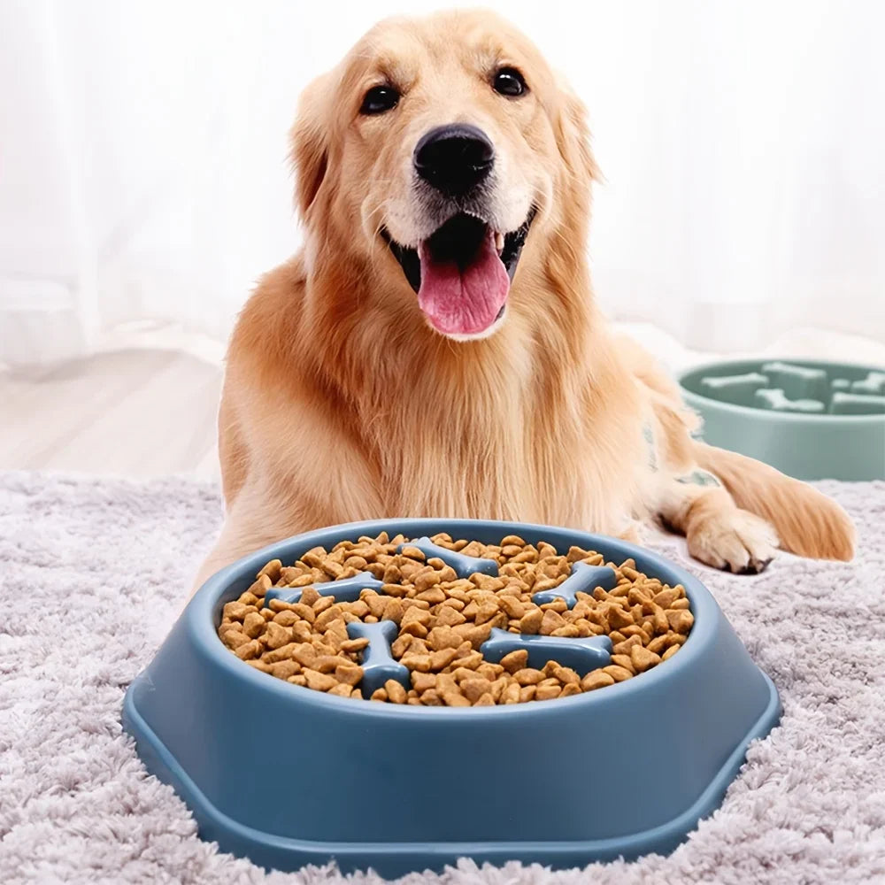 Slow Feeder Bowl for Dogs &amp; Cats