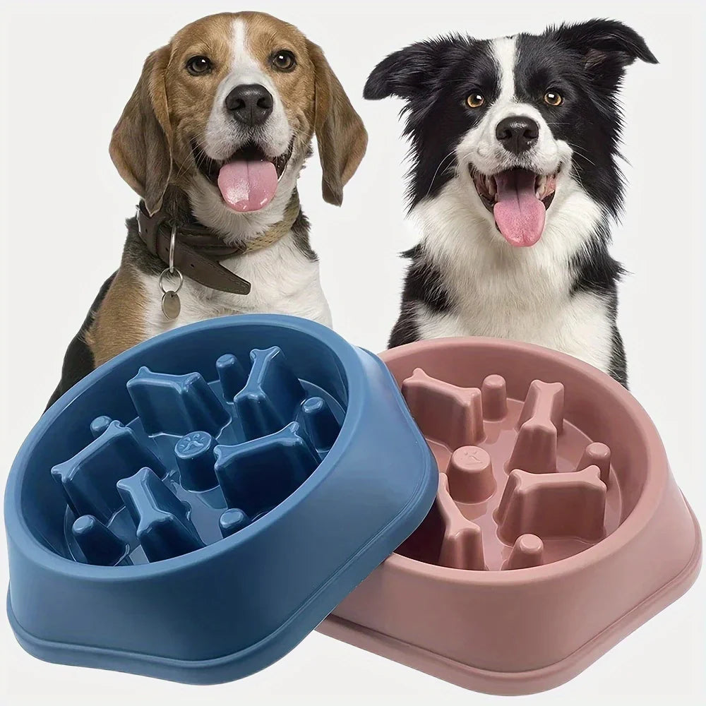 Slow Feeder Bowl for Dogs &amp; Cats